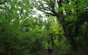 2016-10-07-at-12-45-12